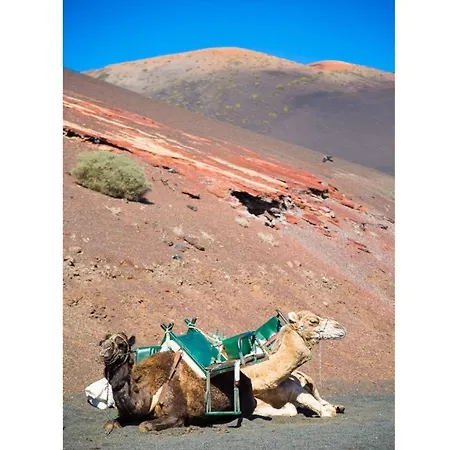 Tamia Playa Blanca (Lanzarote)